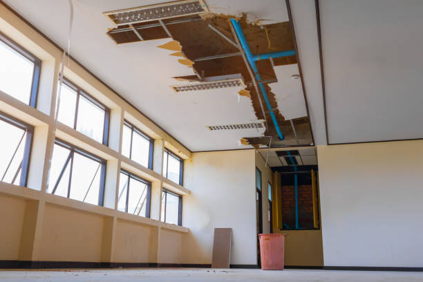 Best Fire Damage Restoration  in Osborne, KS