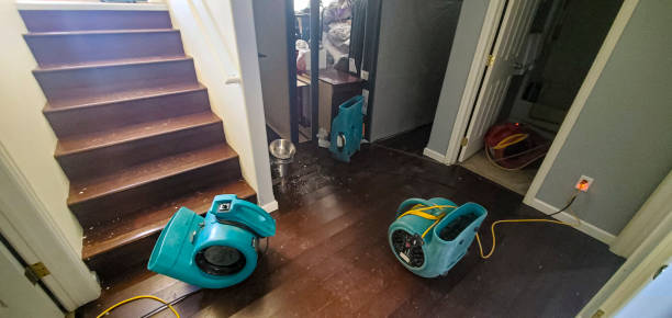 Best Flood restoration services  in Osborne, KS