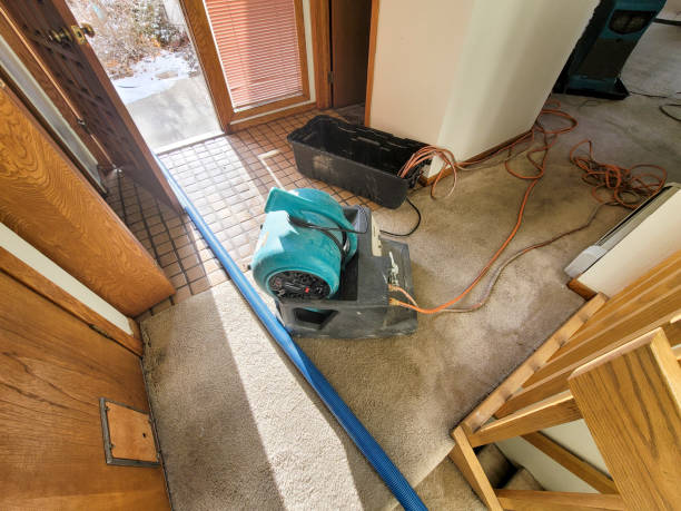 Best Mold removal after water damage  in Osborne, KS