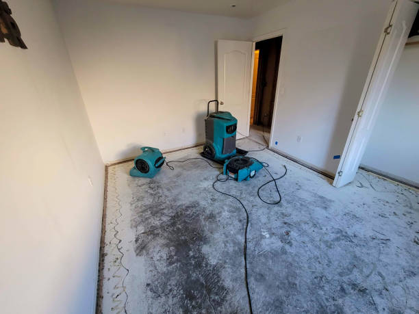 Best Water damage repair service  in Osborne, KS