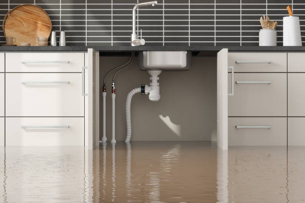 Best Flood restoration services  in Osborne, KS