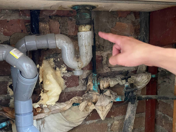 Best Carpet water damage restoration  in Osborne, KS