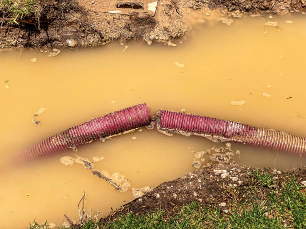 Best Water damage cleanup near me  in Osborne, KS