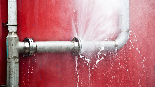 Best Flood damage cleanup  in Osborne, KS